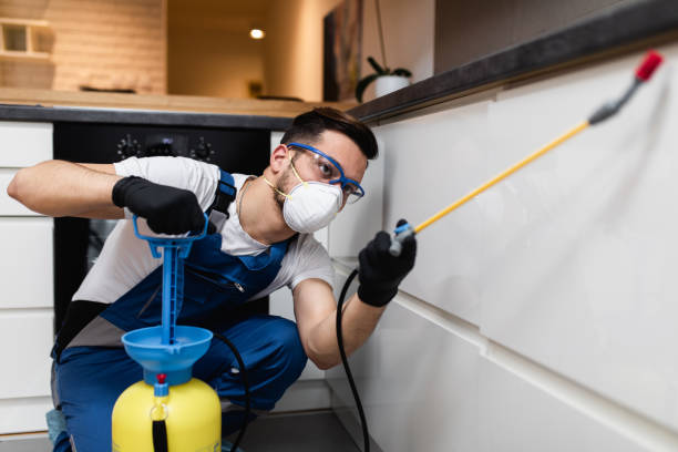 Best Best Pest Control Companies  in Oak Ridge North, TX