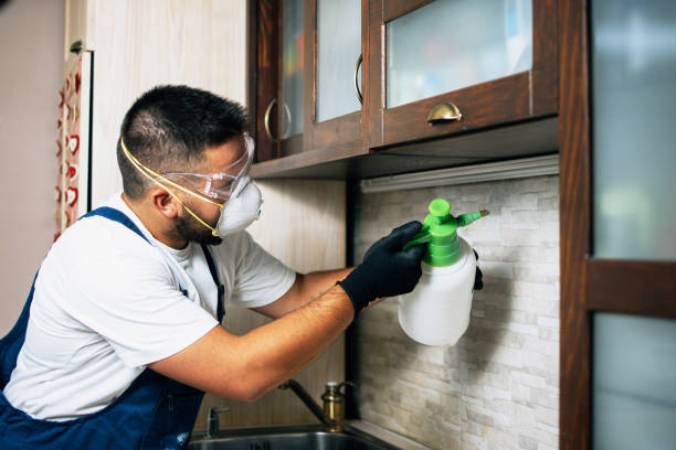Best Local Pest Control Services  in Oak Ridge North, TX