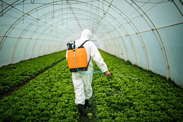 Best Residential Pest Control  in Oak Ridge North, TX