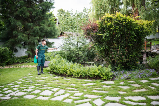 Pest Prevention Services in Oak Ridge North, TX