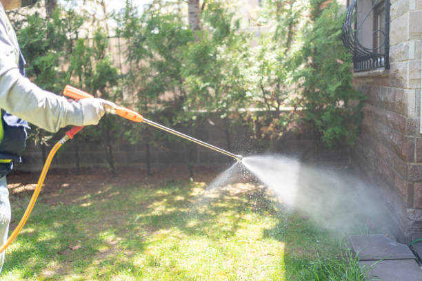 Best Ant Control Services  in Oak Ridge North, TX