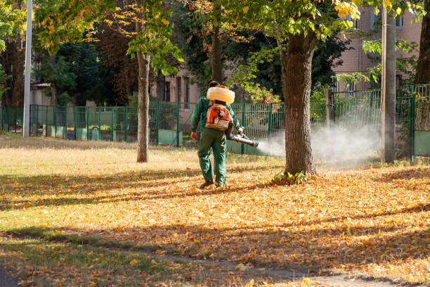 Best Bird Control  in Oak Ridge North, TX